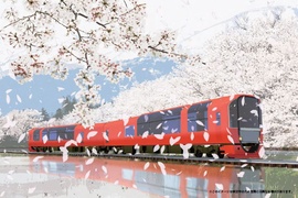 日本《雪月花號》玻璃透明觀光列車 好像動物方城市裡的列車喔 日本《雪月花號》玻璃透明觀光列車 好像動物方城市裡的列車喔