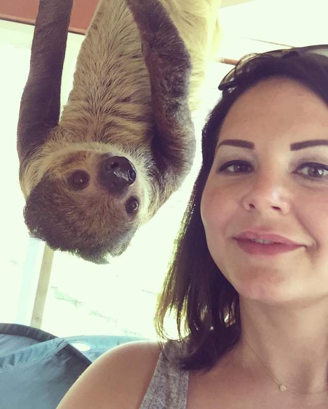 《樹懶自拍照》行動緩慢的樹懶竟意外是自拍高手? - 圖片5 《樹懶自拍照》行動緩慢的樹懶竟意外是自拍高手? - 圖片5