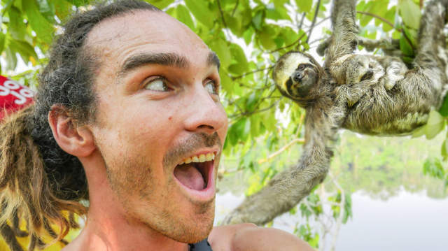 《樹懶自拍照》行動緩慢的樹懶竟意外是自拍高手? - 圖片4 《樹懶自拍照》行動緩慢的樹懶竟意外是自拍高手? - 圖片4