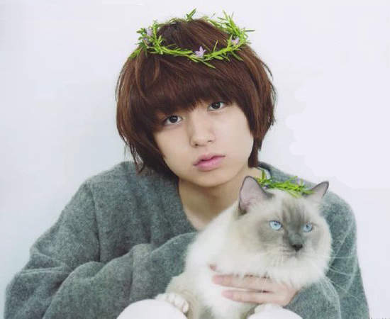 不需要女友的《貓男子》急增　比犬派男子更適合當男友的理由是？