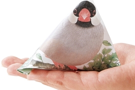 《文鳥信封袋》摺成粽子型就像小文鳥窩在自己手中♥ 《文鳥信封袋》摺成粽子型就像小文鳥窩在自己手中♥