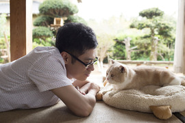 伊藤淳史主演《貓咪收集》該說是真貓還是真人電影呢? 伊藤淳史主演《貓咪收集》該說是真貓還是真人電影呢?