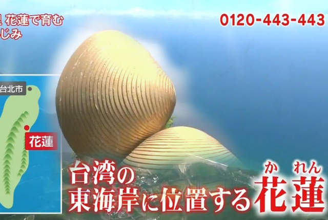 日本網友吐槽《台灣黃金蜆錠廣告》50歲大叔吃了以後交到女朋友…… 日本網友吐槽《台灣黃金蜆錠廣告》50歲大叔吃了以後交到女朋友……