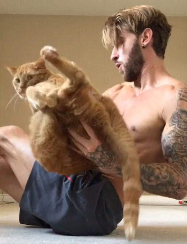 帅男模密招《跟猫大人一起健身》迷妹表示举我也可以唷(๑´ڡ`๑) - 图片4 帅男模密招《跟猫大人一起健身》迷妹表示举我也可以唷(๑´ڡ`๑)