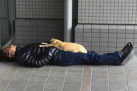 《澀谷醉鬼睡相》IG帳號收集各種誇張睡姿 《澀谷醉鬼睡相》IG帳號收集各種誇張睡姿