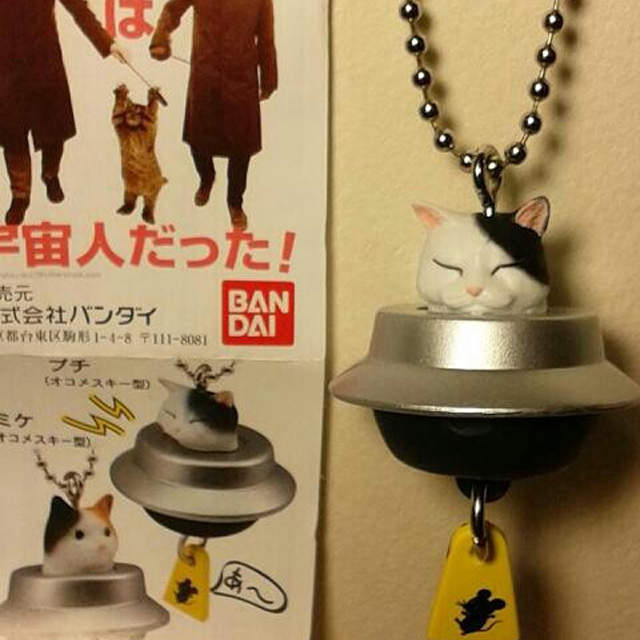 完全一致系列 什麼~《貓咪外星人》要來統治藍星人了嗎? 完全一致系列 什麼~《貓咪外星人》要來統治藍星人了嗎?