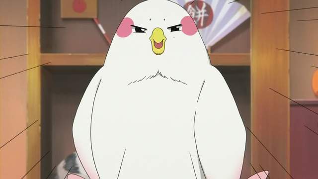 日本電車大亂《小鳥搭車延誤事件》站務員拚老命都抓不到…… 日本電車大亂《小鳥搭車延誤事件》站務員拚老命都抓不到……