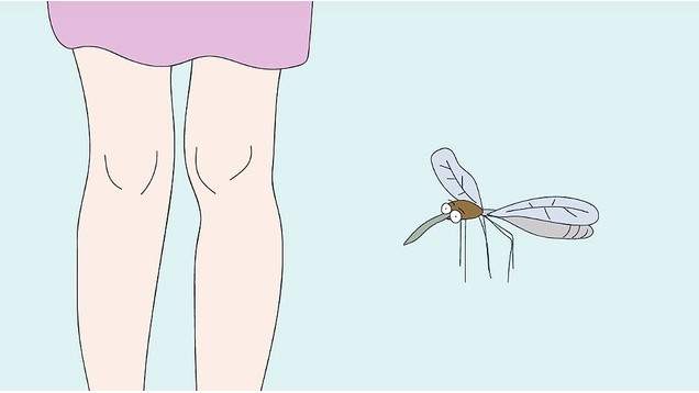 《容易被蚊子咬的特徵》明明一群人為什麼蚊子都只叮我╮(╯_╰)╭ - 圖片2