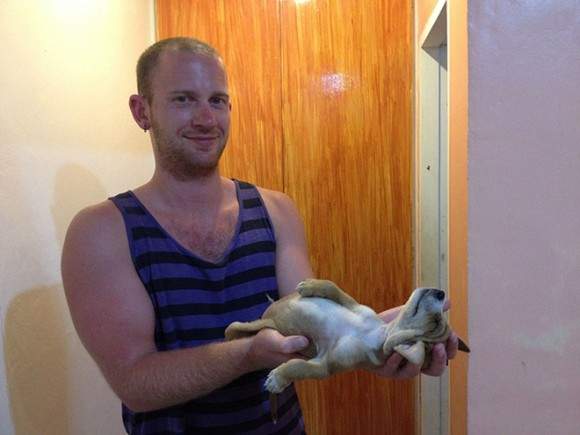 《狗狗奇怪睡相》這是睡到都靈魂出竅了吧... - 圖片6