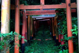 深山秘境《隱藏在獸徑的紅色鳥居》根本是奇幻動畫裡的場景 深山秘境《隱藏在獸徑的紅色鳥居》根本是奇幻動畫裡的場景