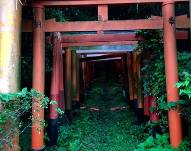 深山秘境《隱藏在獸徑的紅色鳥居》根本是奇幻動畫裡的場景 深山秘境《隱藏在獸徑的紅色鳥居》根本是奇幻動畫裡的場景
