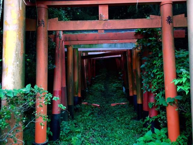 深山秘境《隱藏在獸徑的紅色鳥居》根本是奇幻動畫裡的場景 深山秘境《隱藏在獸徑的紅色鳥居》根本是奇幻動畫裡的場景