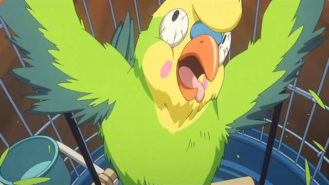 《詭異寵物鳥名字》飼主命名的時候究竟在想什麼……