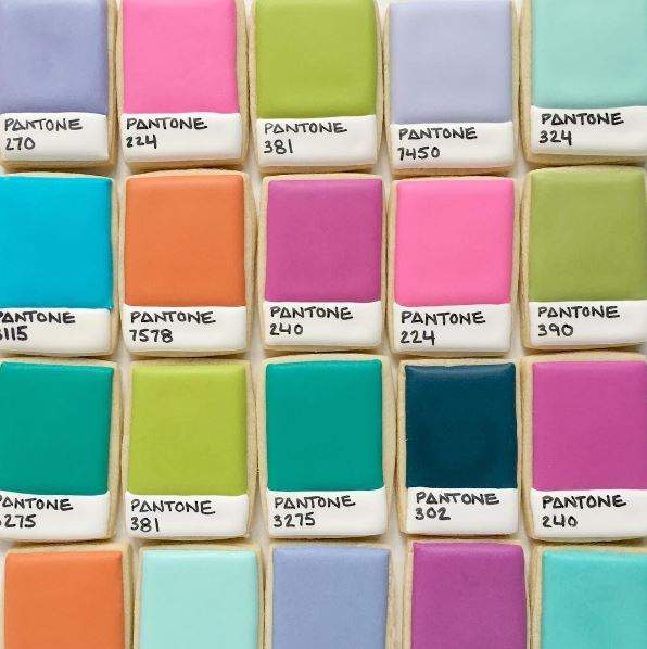 《可以當色票的餅乾》吃下去是不是就能記住色碼了呢？（不） - 圖片15