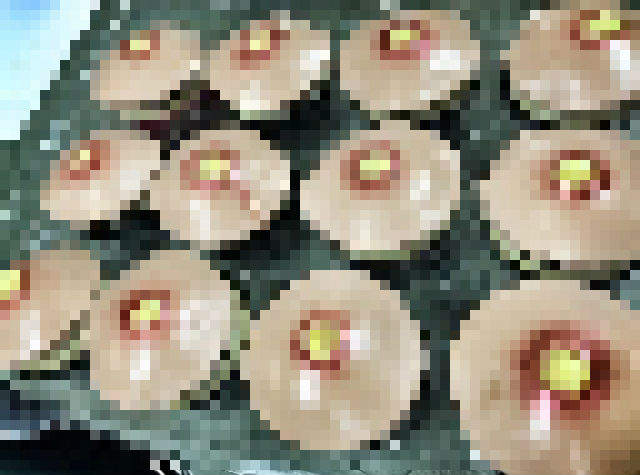 【閱覽注意】讓人食慾全失的超噁心《粉刺杯子蛋糕》能忍住衝動不擠它嗎？阿嘶～