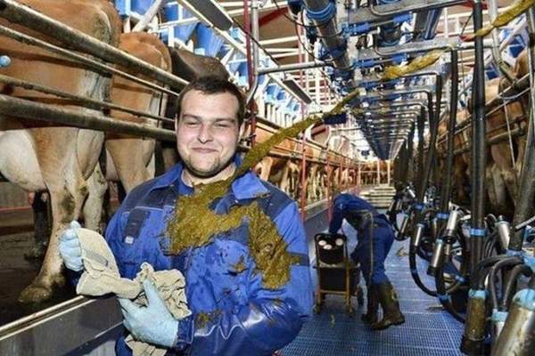 《看完就不覺得自己倒楣的照片》原來我的人生是如此順遂XD