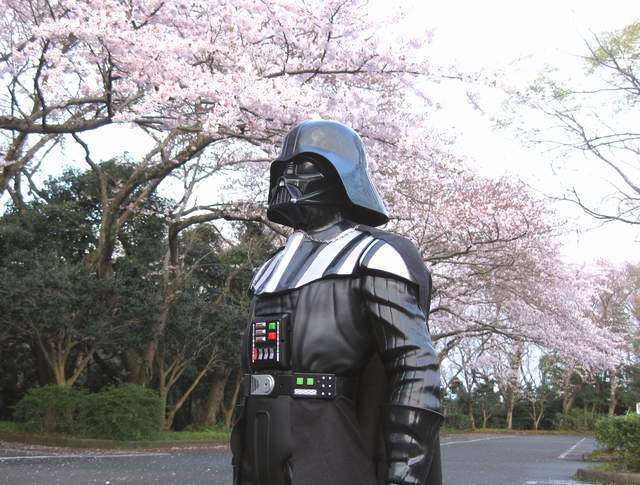 宅宅們《帶公仔賞櫻花》美好照片的背後隱藏的真相…… 宅宅們《帶公仔賞櫻花》美好照片的背後隱藏的真相……