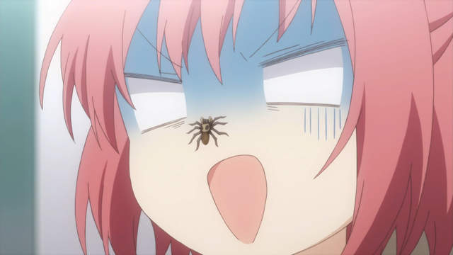 怕蟲女大學生《與蜘蛛戰鬥24小時全紀錄》挺身而戰值得敬佩…… 怕蟲女大學生《與蜘蛛戰鬥24小時全紀錄》挺身而戰值得敬佩……