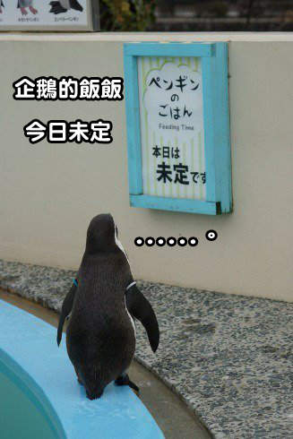 推特《莫名的哀愁感》日常生活中那些淡淡哀傷的瞬間 推特《莫名的哀愁感》日常生活中那些淡淡哀傷的瞬間