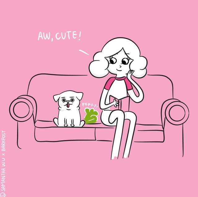 在女友心中《狗和男友》誰重要？如果女友是狗奴的話請小心ww