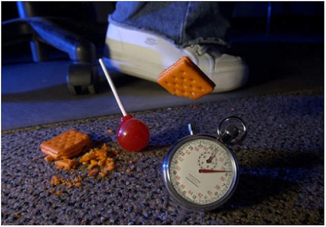 《3秒定律》據說食物掉地上3秒內撿起來是乾淨的? 《3秒定律》據說食物掉地上3秒內撿起來是乾淨的?