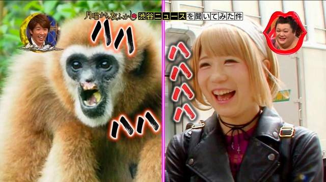 綜藝節目揭發《正妹COSER的恐怖笑聲》理想與現實果然有很大的落差…… 綜藝節目揭發《正妹COSER的恐怖笑聲》理想與現實果然有很大的落差……