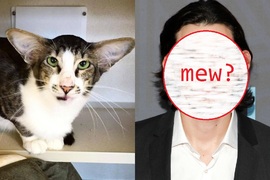 《動物vs明星 相似顏》這謎之相似度究竟是誰的惡作劇 《動物vs明星 相似顏》這謎之相似度究竟是誰的惡作劇