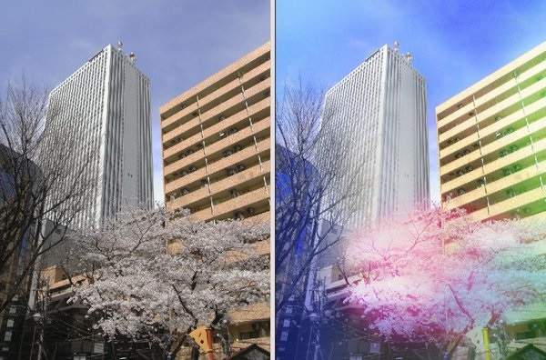 推特話題《把普通風景照片變成動畫風背景》改個色調就超夢幻(〃∀〃)