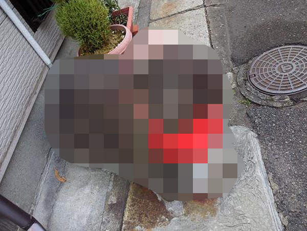 爆紅觀光景點《不知道是狗還是羊的石像》不能取個正式一點的名字嗎? 爆紅觀光景點《不知道是狗還是羊的石像》不能取個正式一點的名字嗎?