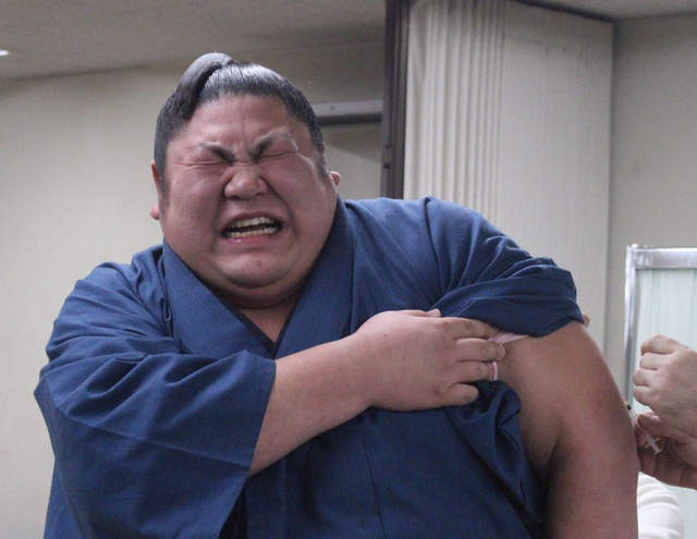 媽媽我怕怕《相撲力士打針表情集》壯漢也難敵小針頭…… 媽媽我怕怕《相撲力士打針表情集》壯漢也難敵小針頭……