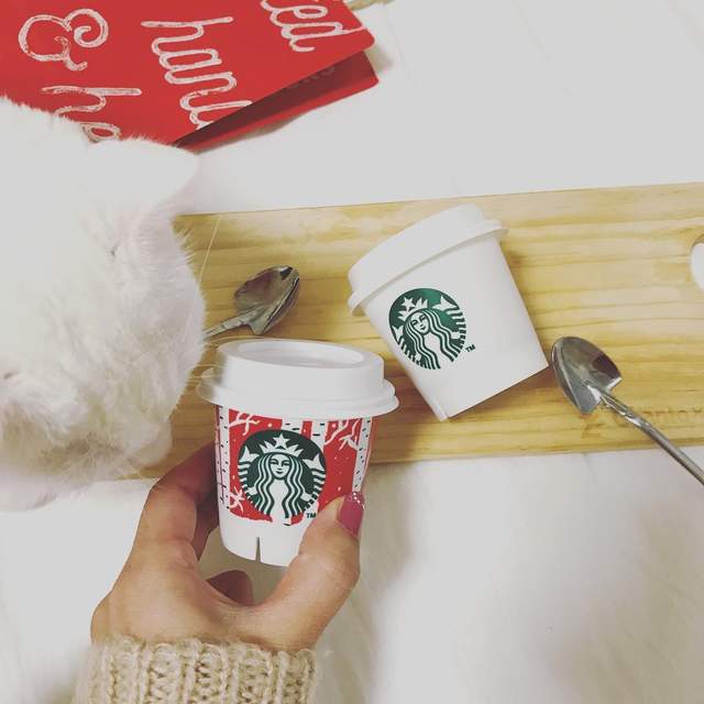《日本登場韓國限定的星巴克迷你布丁》推出聖誕節限定款 ❤