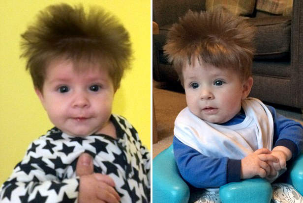 可愛的《Q毛寶寶》他家完全不用擔心禿頭問題真是幸福啊～