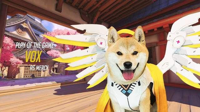 《鬥陣特攻犬貓化》變成狗狗貓貓也要捍衛自己的信念! 《鬥陣特攻犬貓化》變成狗狗貓貓也要捍衛自己的信念!