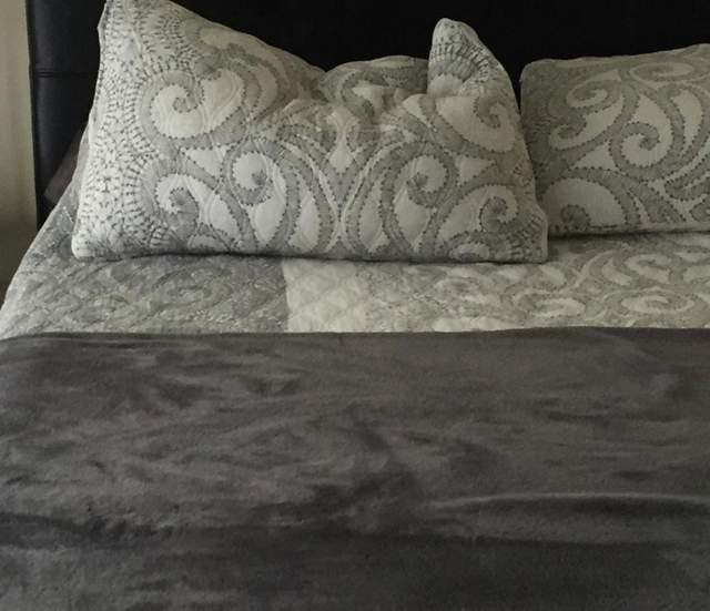 連假輕鬆版《大家來找碴》能從床上找到狗狗嗎？