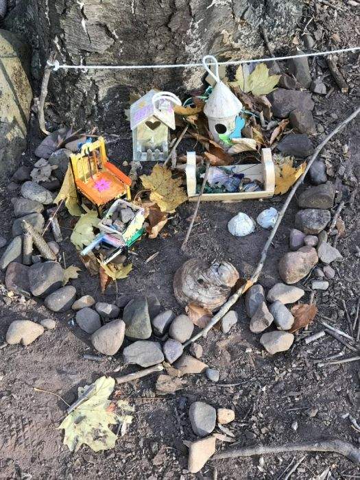 帶狗散步發現《樹下的迷你村莊》莫非這裡曾有小精靈居住過？