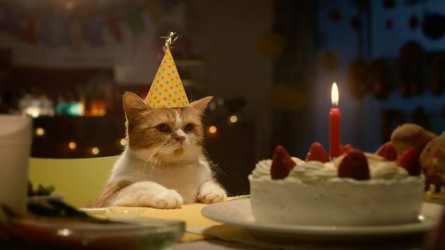 《日本人最多的生日》意外在"那個節日"出生的人竟然這麼多? 《日本人最多的生日》意外在"那個節日"出生的人竟然這麼多?