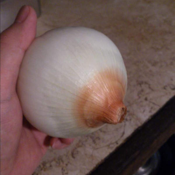 《內心骯髒才會想歪的照片》應該只是我眼睛累了吧ww(拼命揉) 《內心骯髒才會想歪的照片》應該只是我眼睛累了吧ww(拼命揉)