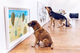 《為狗狗策畫的藝術展》竟然有零食以外的東西讓狗狗看得如此入迷? 《為狗狗策畫的藝術展》竟然有零食以外的東西讓狗狗看得如此入迷?