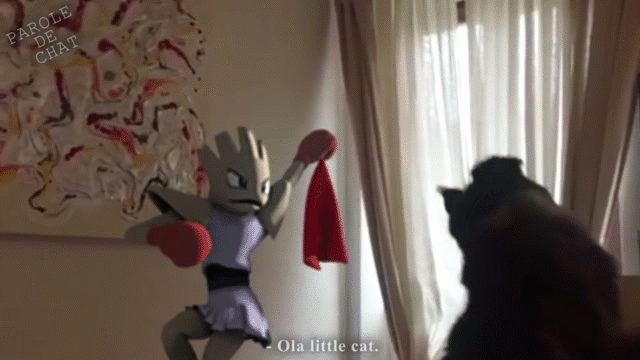 當《貓咪遇到精靈寶可夢》抓到了抓到了～我抓到小拉達啦喵～ - 圖片2