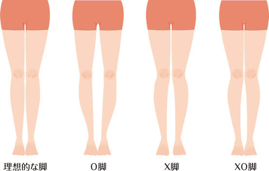 《美腿判斷標準》理想的大腿比例揪～竟是什麼呢？ - 圖片3