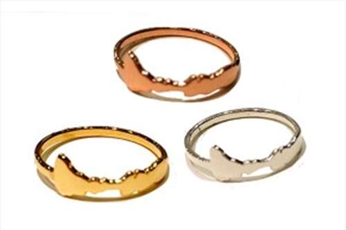 《聲紋戒指Encode Ring》把情話變成戒指好浪漫～