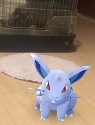 Pokemon Go《看得見寶可夢的動物》難道那邊真的有什麼嗎！？ - 圖片22