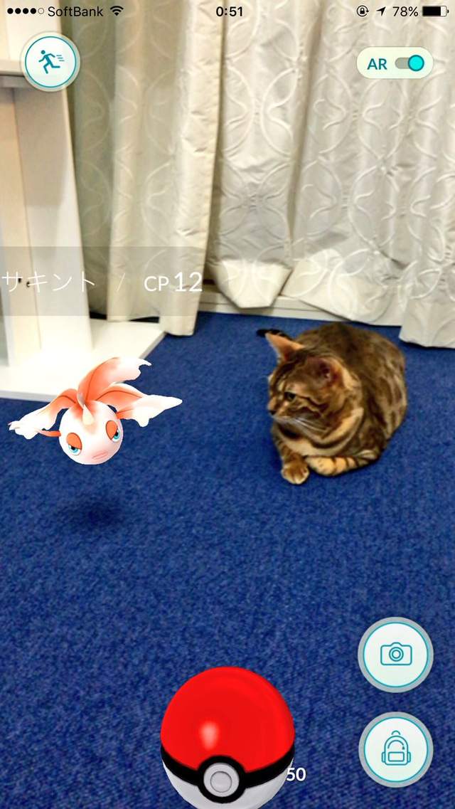 Pokemon Go《看得見寶可夢的動物》難道那邊真的有什麼嗎！？ - 圖片15