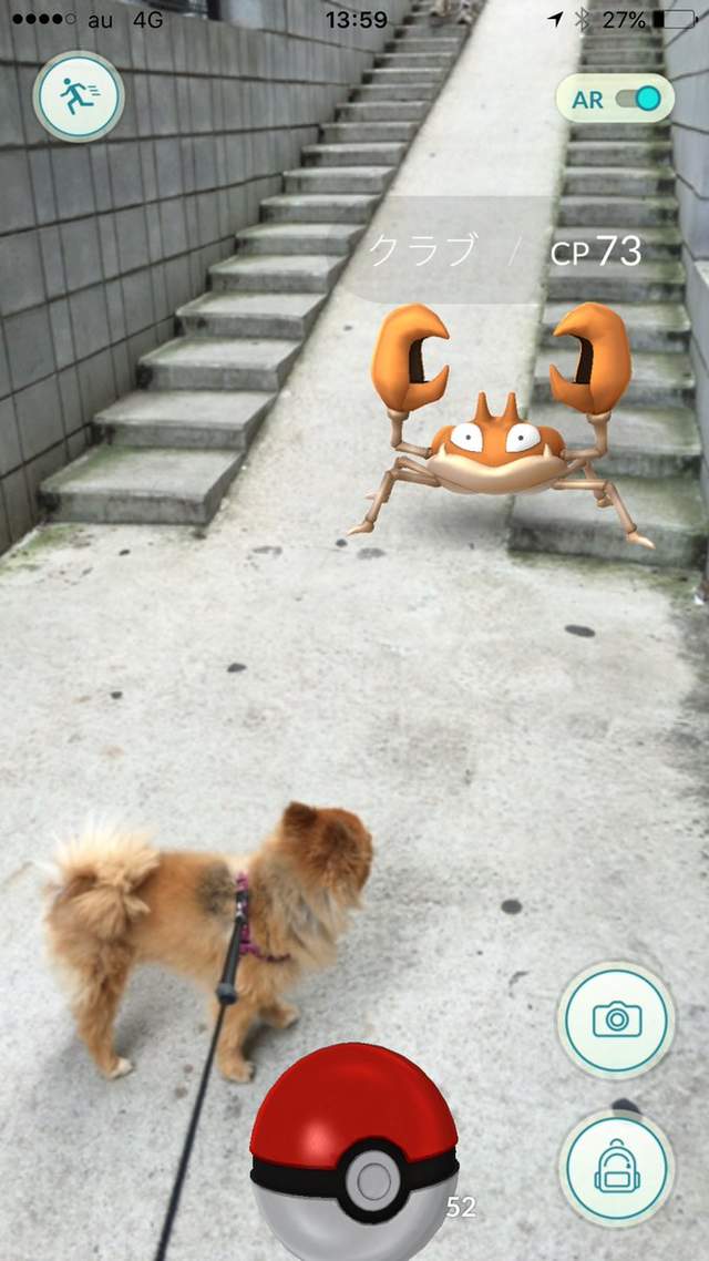 Pokemon Go《看得見寶可夢的動物》難道那邊真的有什麼嗎！？ - 圖片8