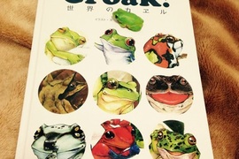 繪師自製《青蛙圖鑑Croak!》對青蛙滿滿的愛都收集在這一冊裡♥ 繪師自製《青蛙圖鑑Croak!》對青蛙滿滿的愛都收集在這一冊裡♥