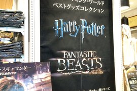 魔法世界再度襲來《新宿哈利波特專賣店》期間限定 魔法世界再度襲來《新宿哈利波特專賣店》期間限定