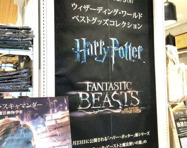 魔法世界再度襲來《新宿哈利波特專賣店》期間限定 魔法世界再度襲來《新宿哈利波特專賣店》期間限定