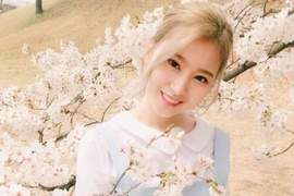 男性分享《JYP中最完美的美顏》讓男人情不自禁愛上的女星是? 男性分享《JYP中最完美的美顏》讓男人情不自禁愛上的女星是?