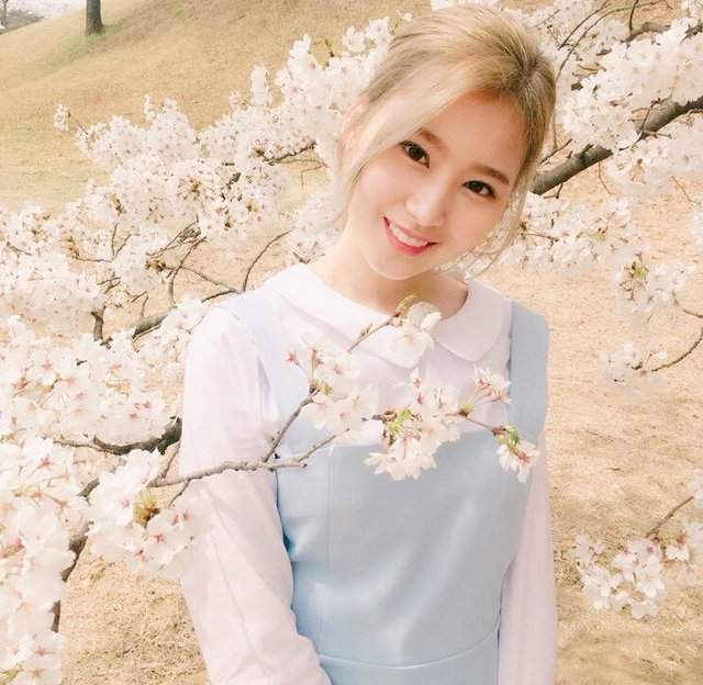 男性分享《JYP中最完美的美顏》讓男人情不自禁愛上的女星是？