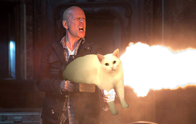 《融化的半身白貓》意外引發一連串惡搞PS大賽ww